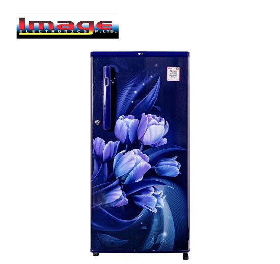 Picture of LG  190L Single Door Refrigerator GLB204OBTC