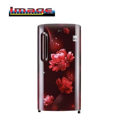 Picture of LG GL-B205ASHB 190L Single Door Refrigerator