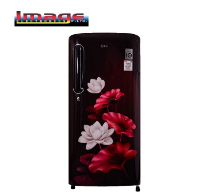 Picture of LG GL-B205ASLB 190L Single Door Refrigerator