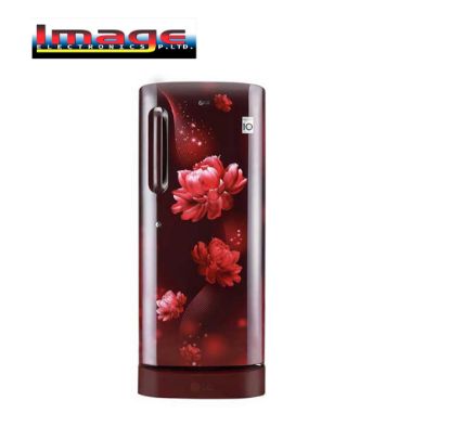 Picture of LG GL-D205ASCB 190L Single Door Refrigerator