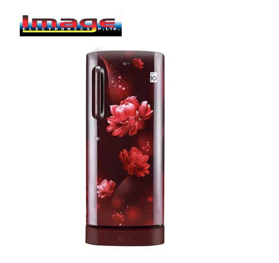 Picture of LG GL-D205ASCB 190L Single Door Refrigerator