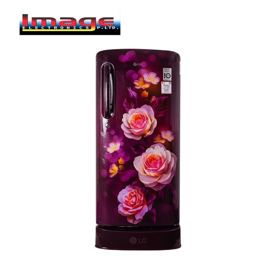 Picture of LG GL-D205ASBB 190L Single Door Refrigerator