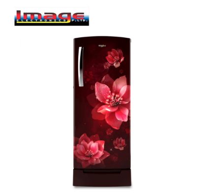 Picture of Whirlpool Icemagic Pro 207L 3 Star Single Door Refrigerator with Base Drawer – Mulia (Model 72616)