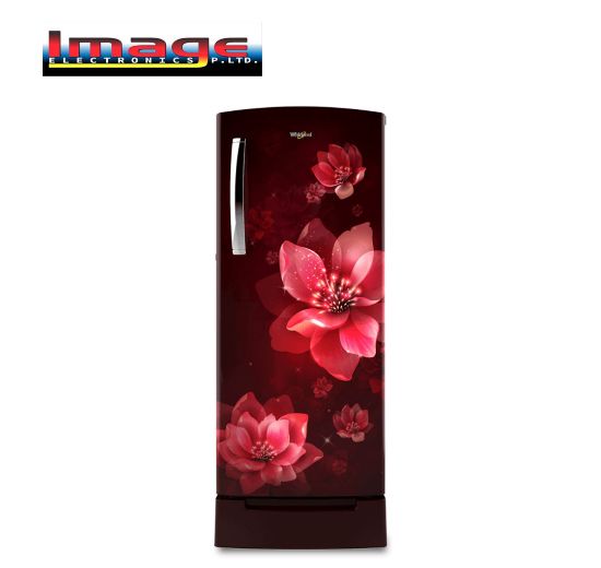 Picture of Whirlpool Icemagic Pro 207L 3 Star Single Door Refrigerator with Base Drawer – Mulia (Model 72616)