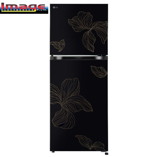 Picture of LG 238 Liter Double Door Refrigerator GLM250BROI.AROQ