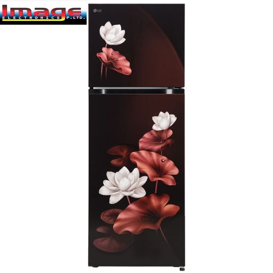 Picture of LG 265 Liter Double Door Refrigerator(GLM270BSLI.ASLQ)